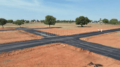 Project Images