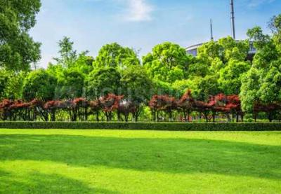 Project Image of 318.4 - 475.55 Sq.ft 1 BHK Apartment for buy in Arihant Aakarshan Phase 1
