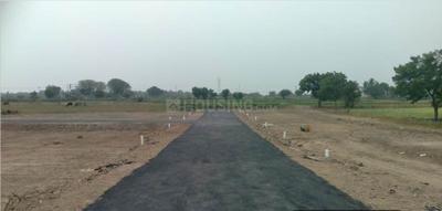 Project Images