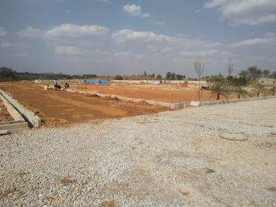 Project Images