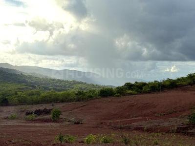 Project Image of 1000.0 - 3000.0 Sq.ft Residential Plot Plot for buy in Bhoomi Plots in Durshet