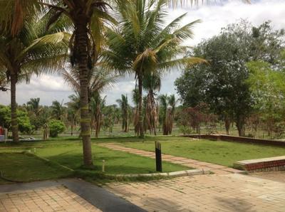 Project Image of 0.0 - 1200.0 Sq.ft Residential Plot Plot for buy in MV Paradise
