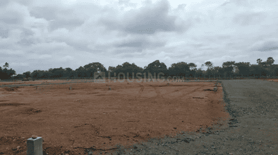 Project Images