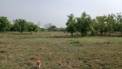 Project Image of 1050.0 - 1855.0 Sq.ft Residential Plot Plot for buy in Sri Ram Nagar