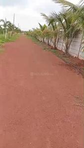 Viraaditya Farm Lands Internal Roads & Footpaths 1