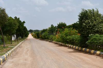 Project Image of 1800.0 - 4500.0 Sq.ft Residential Plot Plot for buy in Fortune Butterfly City