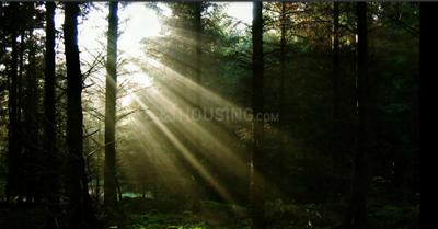 Project Image of 2900.0 - 6470.0 Sq.ft 3 BHK Apartment for buy in UKN Miraya Rose