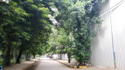 Project Image of 1682.4 - 2222.96 Sq.ft 3 BHK Apartment for buy in Godrej Alira