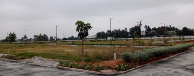 Project Image of 0.0 - 1200.0 Sq.ft Residential Plot Plot for buy in Shrinika Blue Mango Orchard