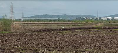 Plots In Ranjanpada Plot 1