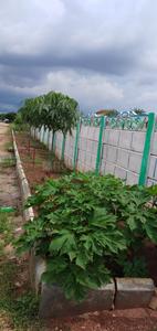 Project Image of 1350.0 - 3600.0 Sq.ft Residential Plot Plot for buy in Druvitha Rivers Edge Nature Greens