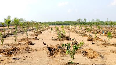 Project Image of 2178.0 - 5445.0 Sq.ft Residential Plot Plot for buy in Adrustar Mahalakshmi S Nandanam