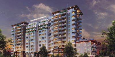 Rotson Solitaire Images for Elevation of Rotson Solitaire 2