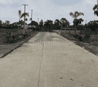 Project Images