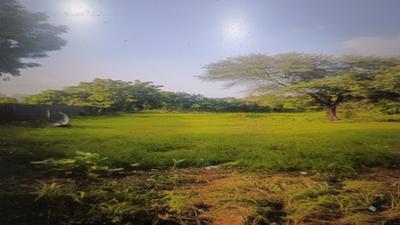 Project Image of 0.0 - 851.86 Sq.ft 3 BHK Apartment for buy in Harvi Ayodhya Elysium