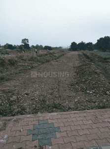 Project Images