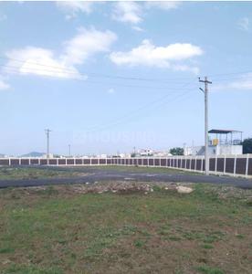 Project Images