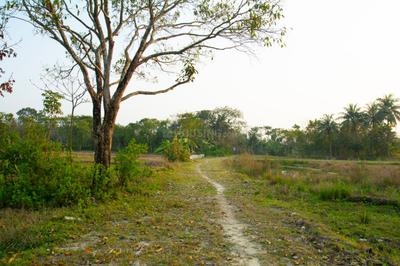 Project Image of 720.0 - 2880.0 Sq.ft Residential Plot Plot for buy in Rupbasuda Green Plaza