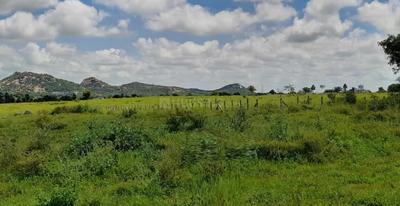 Project Image of 1593.06 - 5349.66 Sq.ft Residential Plot Plot for buy in GK Renuka Highway City
