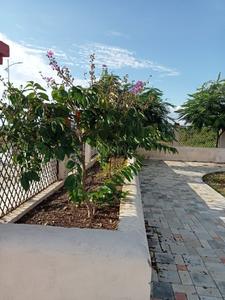 Project Image of 980.0 - 4000.0 Sq.ft Residential Plot Plot for buy in Mauli Nagar 22