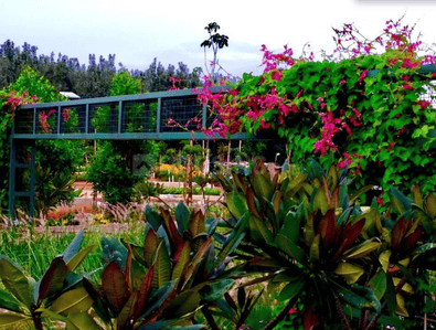 Project Image of 0.0 - 143547.51 Sq.ft Residential Plot Plot for buy in TGH Total Green Homes