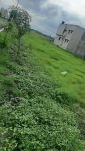 Project Image of 1500.0 - 3498.0 Sq.ft Residential Plot Plot for buy in VBHC Vaibhava Oragadam