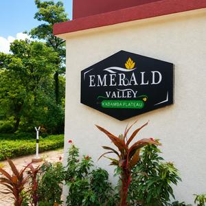 Project Image of 2507.99 - 4176.4 Sq.ft Residential Plot Plot for buy in Emerald Valley