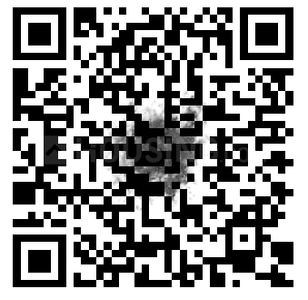 Adisesh Palm Tree QR Code 1