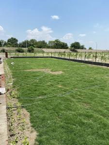 Project Image of 0.0 - 9072.0 Sq.ft Residential Plot Plot for buy in Golf View Farms