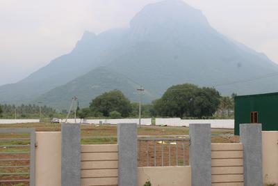 Project Image of 806.0 - 2029.0 Sq.ft Residential Plot Plot for buy in VS Avenue