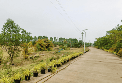 Project Image of 590.19 - 1743.75 Sq.ft Residential Plot Plot for buy in Agrawal Swarna Nagri