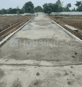 Project Images