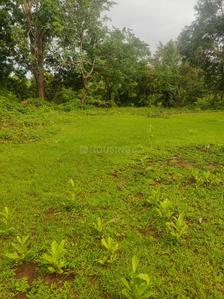Project Image of 1000.0 - 10000.0 Sq.ft Residential Plot Plot for buy in Farm N Land Roha