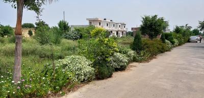 Project Image of 615.0 - 1580.0 Sq.ft 1 BHK Villa for buy in Globus Palm Greens