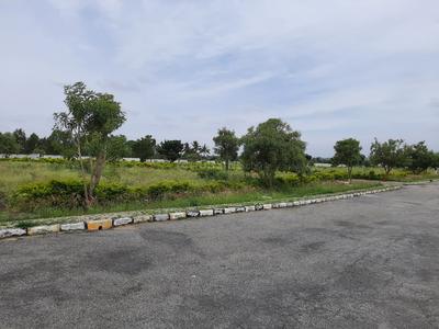 Asset Bliss Elevation 1