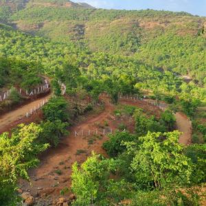 Project Image of 1000.0 - 10000.0 Sq.ft Residential Plot Plot for buy in Bhoomi Plots In Kurunji