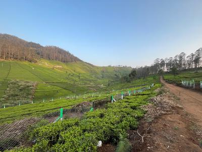 Project Image of 1000.0 - 12589.0 Sq.ft Residential Plot Plot for buy in Green Farm Estates