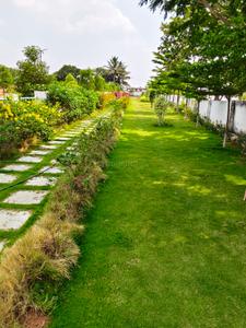 Project Image of 1350.0 - 13480.94 Sq.ft Residential Plot Plot for buy in Amana Fortune Valley