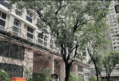 Project Image of 824.73 - 915.9 Sq.ft 3 BHK Apartment for buy in S D Aubburn Wing A