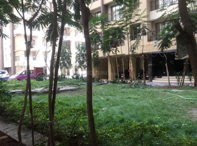 Project Image of 478.0 - 664.0 Sq.ft 1 BHK Apartment for buy in Sai Raj
