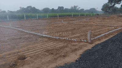 Project Image of 1200 Sq.ft Residential Plot / Land for sale in Bihta for Rs. 1800000