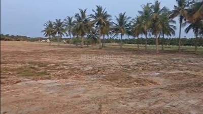 Project Image of 10183.0 - 12707.0 Sq.ft Residential Plot Plot for buy in House Of Amethyst Mallai Farm
