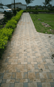 Project Images