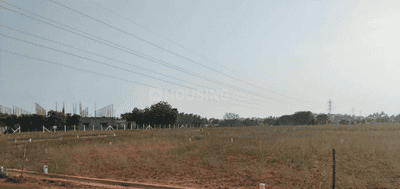 Project Images