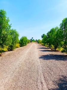 JMR Future City Phase 3 Plot 1