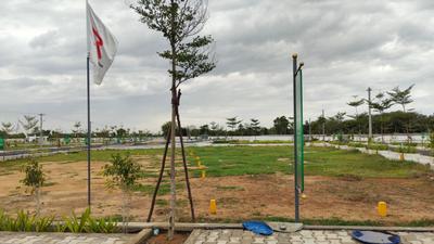 Project Images