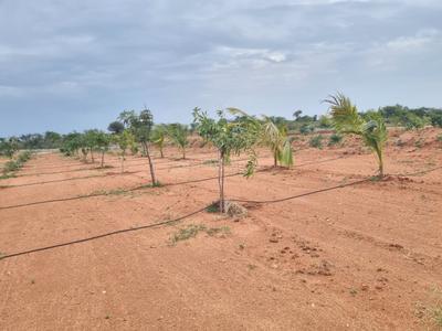 Project Image of 5445.0 - 9000.0 Sq.ft Residential Plot Plot for buy in Sahasra Mango Garden Phase 1