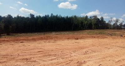 Project Image of 1200.26 - 2400.52 Sq.ft Residential Plot Plot for buy in Varada Sree Sharada Lakshmi Agrahara