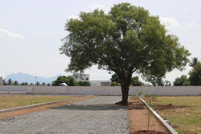 Project Image of 1371.0 - 3825.0 Sq.ft Residential Plot Plot for buy in Sathish Classic Avenue