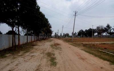 Project Image of 1200.0 - 1500.0 Sq.ft Residential Plot Plot for buy in Avighna Nayana Greens